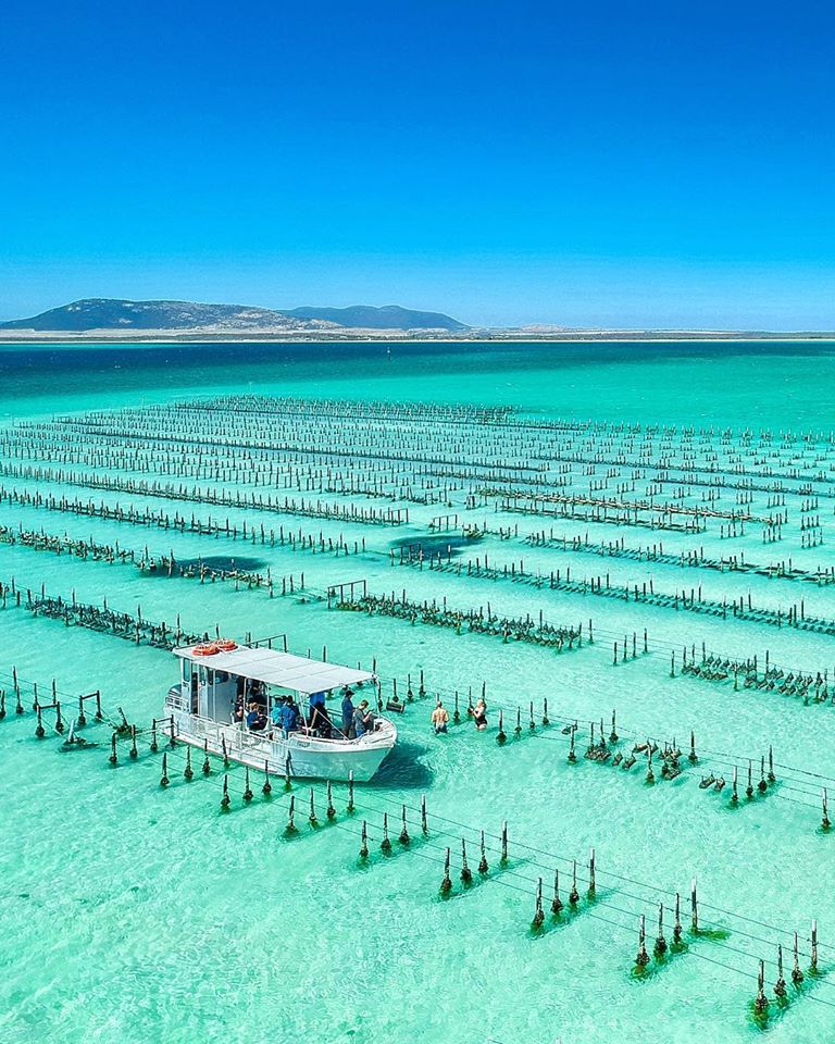 ĐỘC ĐÁO EYRE PENINSULA