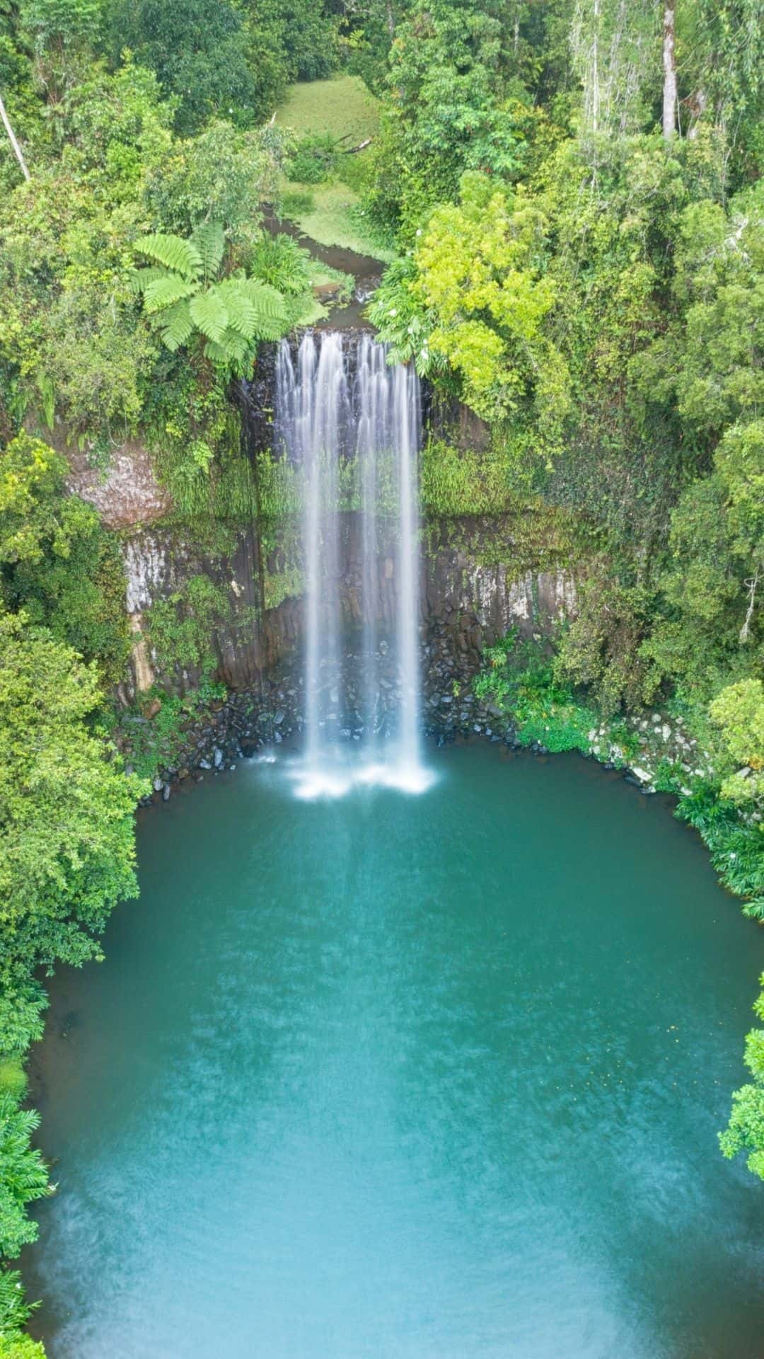 ĐỘC ĐÁO CAIRNS & PORT DOUGLAS 5 NGÀY 4 ĐÊM (+1)